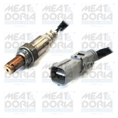 Oxygen Sensor